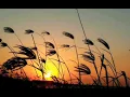 Download Lagu HINGGA KU JENUH _ lirik