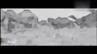 نواف منيف يالله انا طالبك حمر هوى بالي قصيدة الشيخ الفارس فراج ابن ريفه القرقاح 