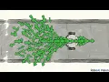 Lec Architecting Custom ROS2 Navigation AMCL Lo