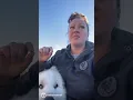 Part 1 of 3 Answer is our dog pregnant or not