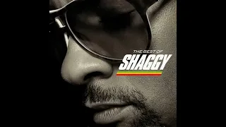 boombastic shaggy reggae 