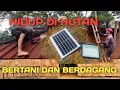 Download Lagu PEMASANGAN PANEL SURYA DI ATAP MUSHOLA . BERDAGANG DI HUTAN . BUKIT DAOLONG
