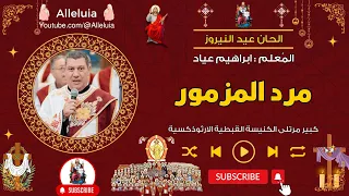                                                               دندنها