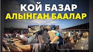 Манас шаары Кой базары 🔥🔥🔥