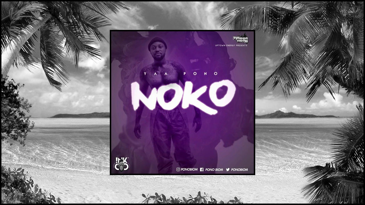 Yaa Pono - Noko (Prod. By Jay Twist) | Dancehall