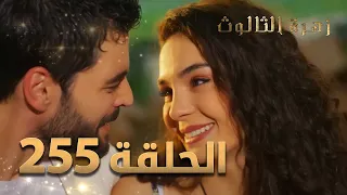مسلسل زهرة الثالوث الحلقة 255 الموسم الثاني 