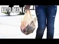 Kroger to Eliminate Plastic Bags I Fortune