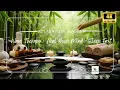 Luxury Wellness Starts Here ZenStone Sound