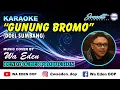 Download Lagu KARAOKE GUNUNG BROMO - DOEL SUMBANG │ MUSIC COVER BY WA EDEN