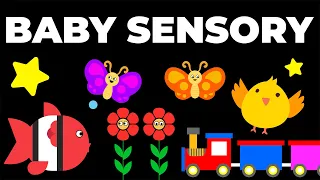 Download BABY SENSORY | High Contrast Baby Video \u0026 Music For Baby Brain Development MP3