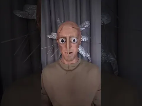 WHAT BUG IS THIS