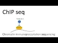 Lagu ChIP seq - Chromatin Immunoprecipitation sequencing