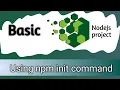 Node Js project Node js project from scratch How to create NodeJS project using NPM init command