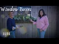 How to Plant Beautiful Window Boxes Spring Gardening Tips with Master Gardener