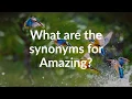 Synonyms for Amazing