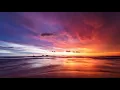 Christina Aguilera - Loyal Brave True |From "Mulan"| (Lyrics)