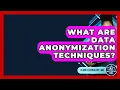What Are Data Anonymization Techniques - AI and Technology Law