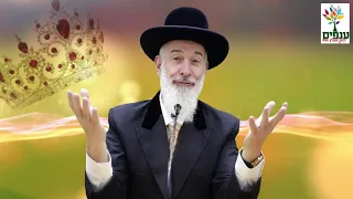 פרשת פנחס הרב יונה מצגר HD מדהים ביותר 