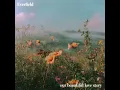our beautiful love story - Everfield