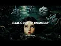 Midnvght, ROA, Mora, Eladio Carrion, Clarent - FALSAS PROMESAS (Remix) (Letra)