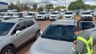                     دندنها