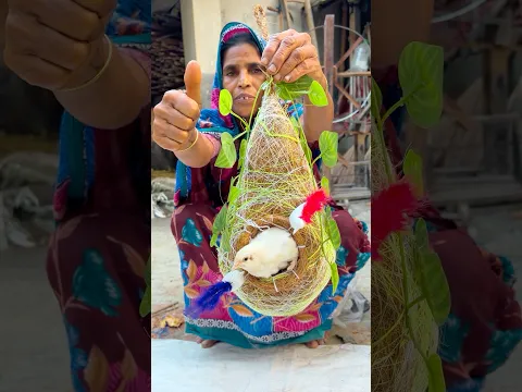 Skilled Artisan Makes a Bird Nest from Green Coconut. #shorts #ytshorts