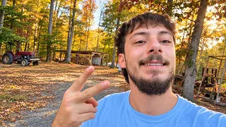 Living In The Woods Building Off-Grid Homestead