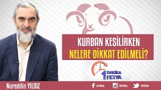 Kurban kesilirken nelere dikkat edilmeli?