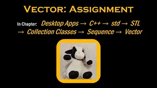 C s Vector Assignment