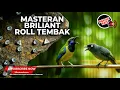 Lagu 🔴 Live Tembakan Maut Cucak Cungkok Super Gacor vs Srigunting Abu Abu Kunti Tengkek Cililin