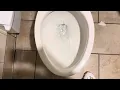 Publix In Thomasville GA Family Restroom