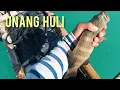 Download Lagu Traditional Handline Fishing in the Philippines