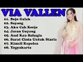 Download Lagu Via vallen bojo galak (DANGDUT)  full album