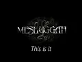 Meshuggah - Combustion (Lyrics Video)
