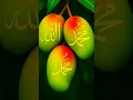 Download Lagu Nana madina# humse chhut Gaya