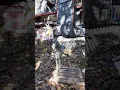 Blackthorn Resort Haunted Mansion