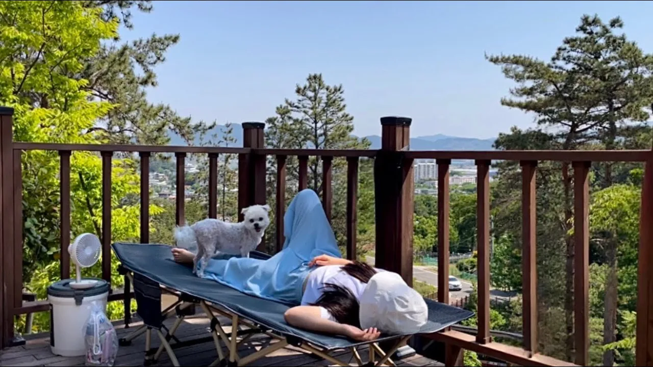[솔로캠핑] 이거 때문에 다시 왔어요 | 애견동반 | 숲 속 시티뷰 캠핑장 | 아이두젠 A10 max | 영암 국민여가캠핑장 썸네일