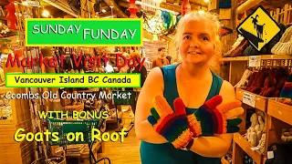 Goats on Roof  – Coombs Market