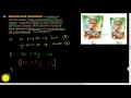 Alg1 05 04 257 11 12 25