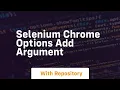 selenium chrome options add argument