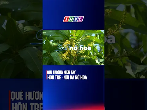Quê hương miền Tây: Hòn Tre - Nơi đá nở hoa