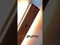 Vídeo do produto