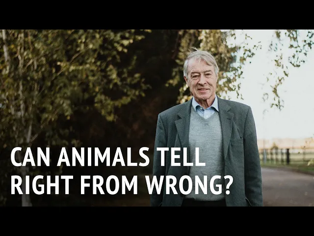 Can Animals Tell Right from Wrong? | Prof. Donald Broom