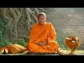 Download Lagu Tibetaanse meditatiemuziek, Ontspannende Meditatie Muziek, Yoga, Binaurale Beats, ☯3186