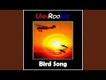 Download Lagu Bird Song