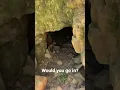 Download Lagu Exploring old Gold Mines around Nana Glen. #goldmines #prospecting #historical #australia #detecting
