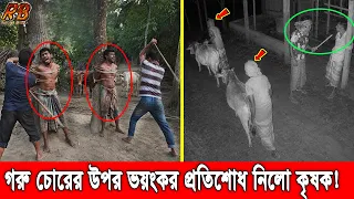 কৃষককে বেঁধে গরু চুরি! পরের দিন চোরকে ধরে যে ভয়ংকর প্রতিশোধ নিলো তা বিশ্বাস করতে কষ্ট হবে! Cow