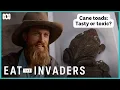 Can cane toads be eaten Eat The Invaders ABC iview