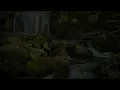 Babbling Brook Nature Sounds: Sleep Music, Relaxing Music for Meditation and Baby Sleep