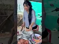 Download Lagu Cao Sĩ Hùng Về quê Nhà Dương Ái Vy Phần 2 #caosihung #duongaivy